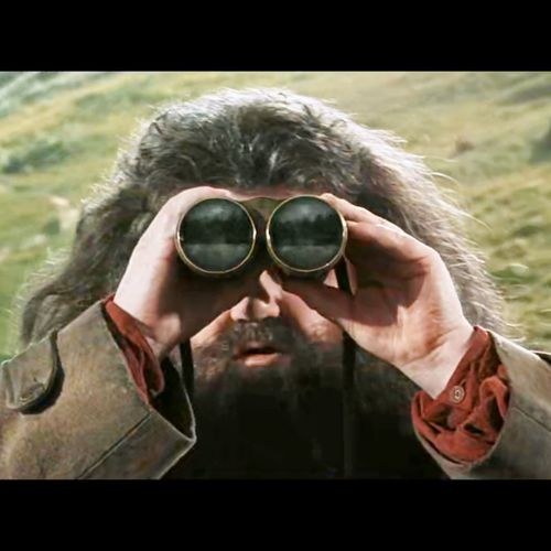 头像截图 (表情和表演超级到位)先来一张海格抱哈2从这里开始用海格