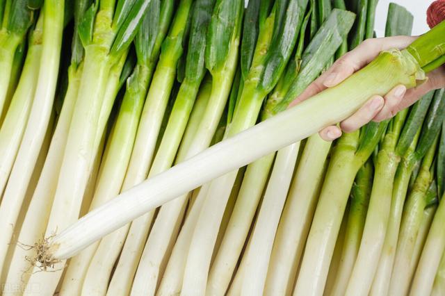 冬天如何储存新鲜的大葱菜贩子给你支两招放到过年也不会烂