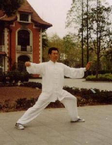 武氏太极拳
