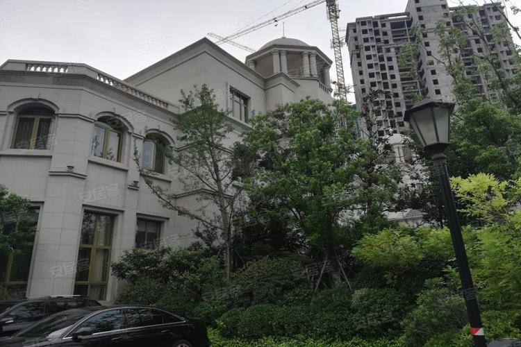 徐州枫林天下康城-实景图(8) - 徐州安居客