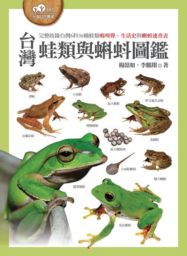 预售杨懿如台湾蛙类与蝌蚪图鉴猫头鹰