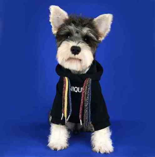 狗狗衣服春秋装小型犬法斗泰迪雪纳瑞博美巴哥脏辫宠物卫衣