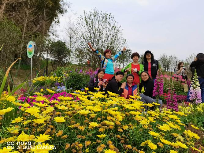 黄埔区迳下村花海