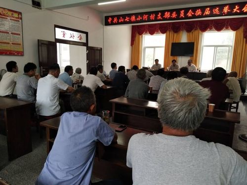 舒城县山七镇小河村先锋网