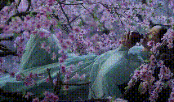 561_330gif 动态图 动图