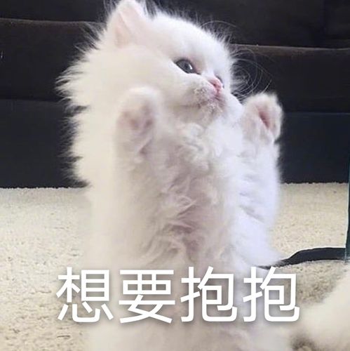 想要抱抱_抱抱_想要表情