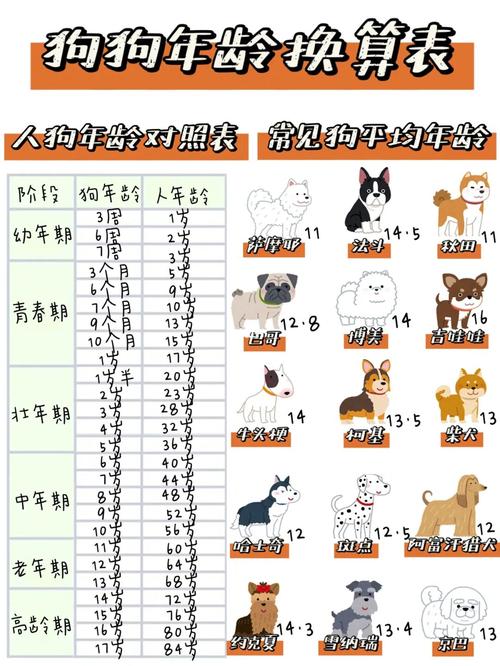 狗狗年龄换算表|幼年期～老年期养宠注意事项_狗狗_宠物_老年人_驱虫