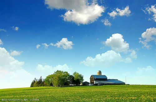 草地大树房子蓝天白云高清图片