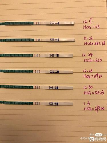 在网上发现的大卫显色个hcg对照表