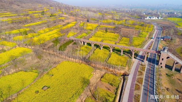 2020年3月18日,河南许昌,襄城县首山油菜花海(无人机拍照).