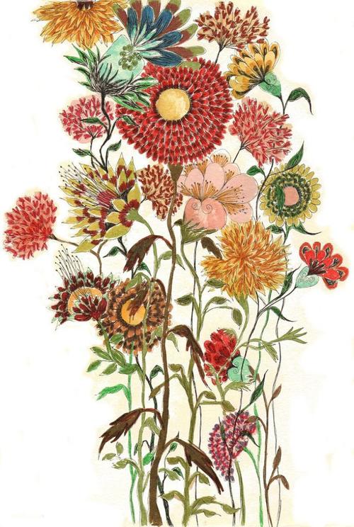 插画 手绘 花朵