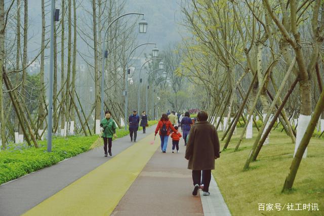 合川东津沱滨江公园随拍,环境很美!