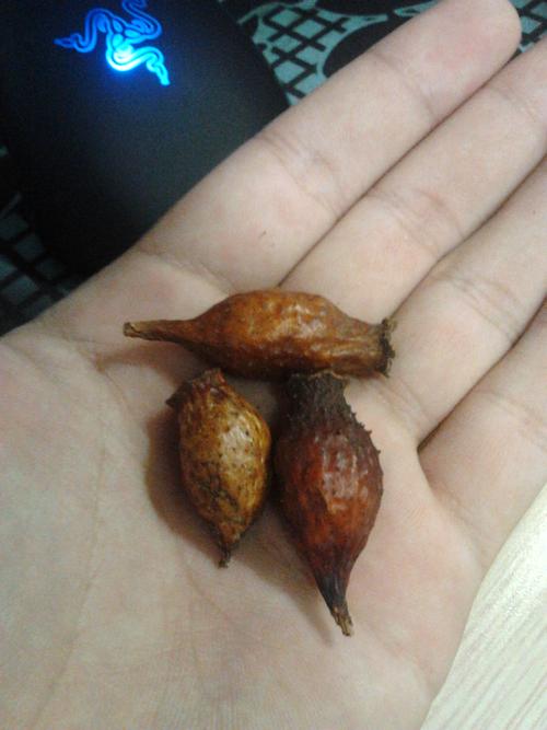 据说能壮阳,一股中药味道!求解啊.