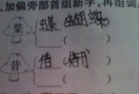 加偏旁,再组词