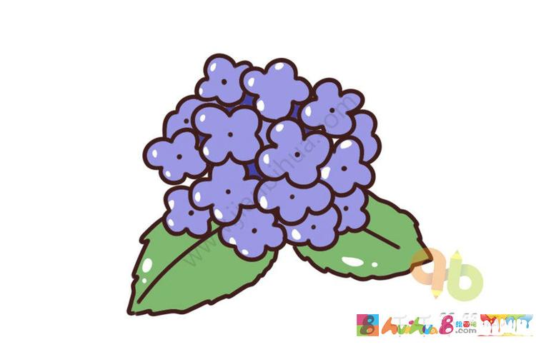 绣球花简笔画怎么画