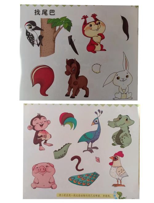 动物的尾巴——汇鑫街道中心幼儿园新中班