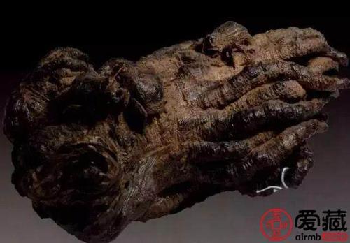 沉香木图片介绍沉香木和沉香的区别