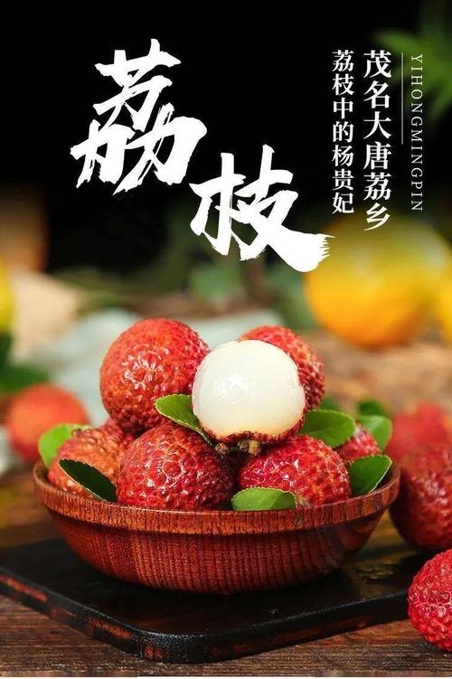 中国荔枝看广东,广东荔枝看茂名,茂名荔枝看高州.