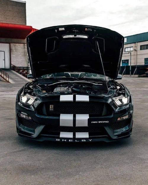福特野马shelbygt350终极眼镜蛇