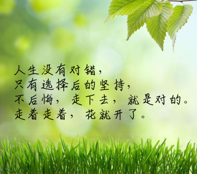 人生没有对错,只有选择后的坚持,不后悔,走下去,就是对的.
