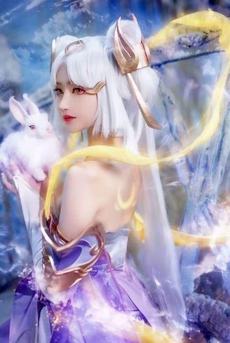 王者荣耀嫦娥抱枕污