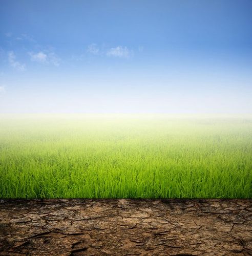 蓝天草地与干枯的土地图片素材