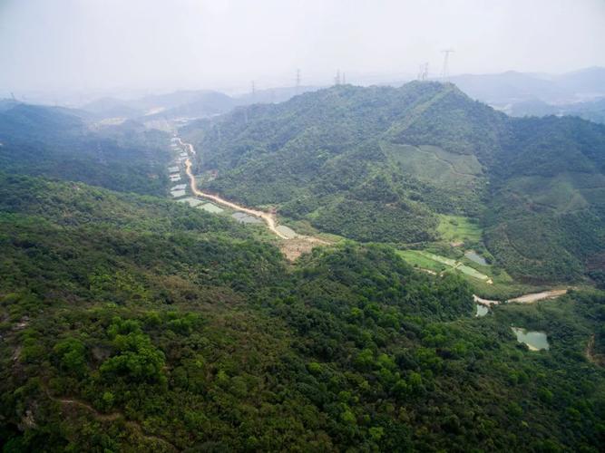 在未来,深圳这里有座世外桃源——光明森林公园 ||工程设计管理中心