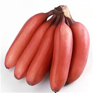 南靖土楼红香蕉5斤装新鲜红皮香蕉水果多省包邮热