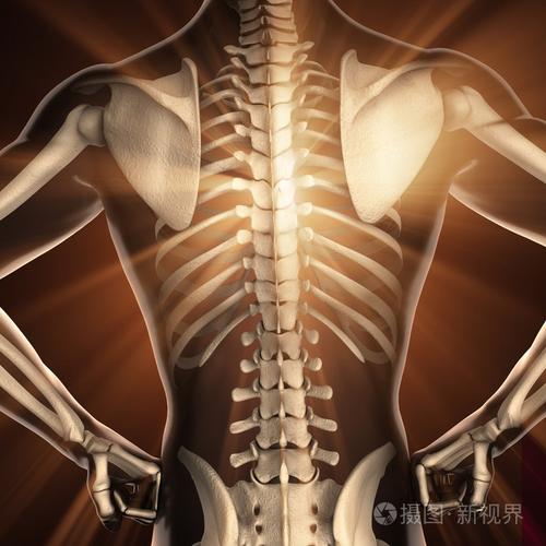 人体骨骼放射扫描图像