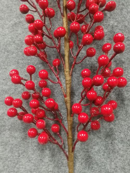 12头冬青发财1.3果 红色浆果相思豆冬青果 红果