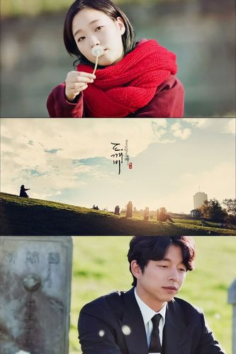 【孤单又灿烂的神:鬼怪】金高银 & 孔侑