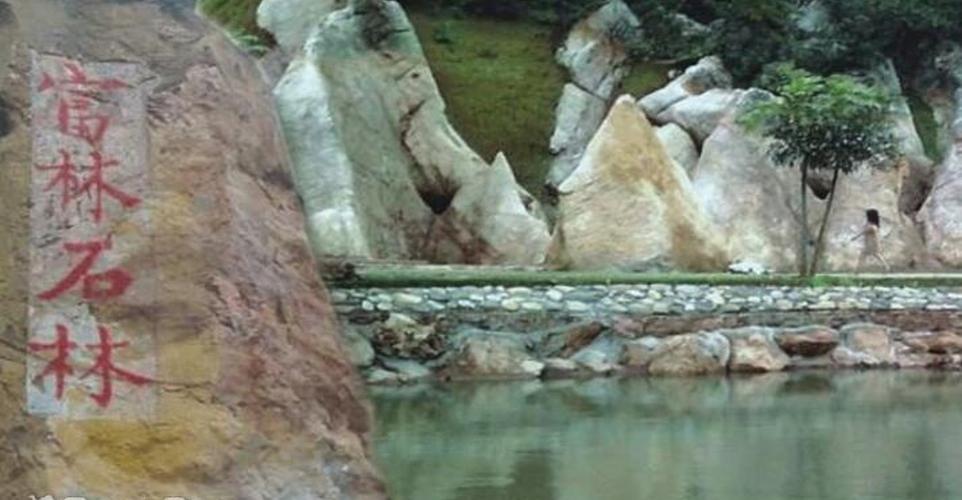云浮大云雾山旅游区富林石林 麒麟洞观光票成人票
