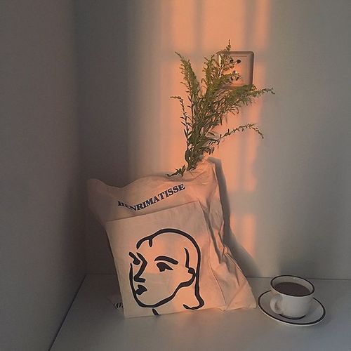 小众背景图愿所有爱与理想御风疯长找到答案