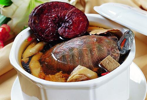 土茯苓煲草龟