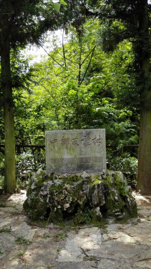 六枝梭嘎生态博物馆