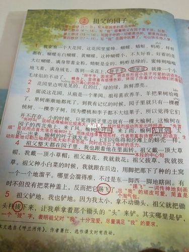 五年级 下册第二课祖父的园子笔记 希望大家喜欢_蜻蜓