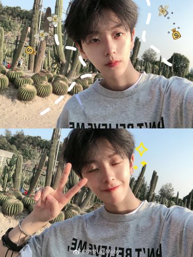 刘梦- 堆糖,美图壁纸兴趣社区