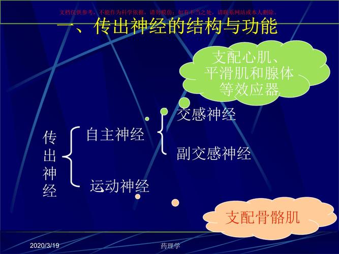 药理学传出神经系统药理学概论课件.ppt 24页