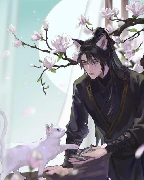 海棠花代表什么意思