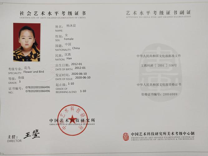 小马良练字(艺术学校)2019年度硬笔书法和绘画考级证书展示!