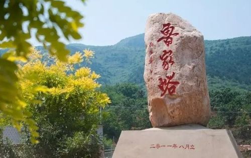 西龙虎峪镇鲁家峪村首届杏花节
