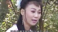 庐剧《泪母斩子》5 昂小红