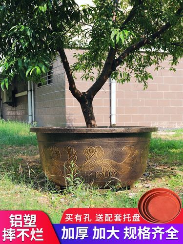 水缸花盆室外种睡莲的大花盆荷花大号特大号超大发财v