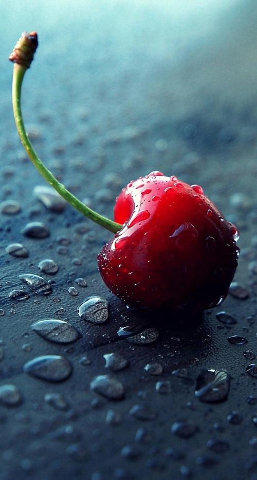 唯美意境摄影清新美味的水果图片分享