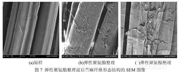 苎麻织物的纤维素酶与弹性聚氨酯联合抗