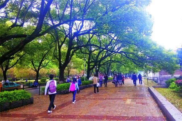 上学路上叮嘱孩子看紧家长,防丢意识不能少,父母要做好安全教育