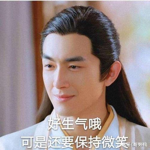 作为致力于表情包事业贡献的林更新,你认为他土吗?