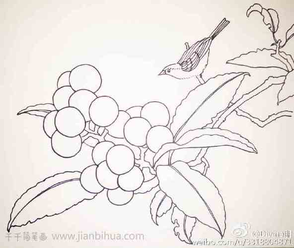 枇杷树简笔画大树简笔画