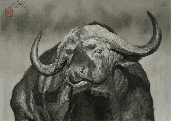 刘斌老师精微动物素描——《水牛》