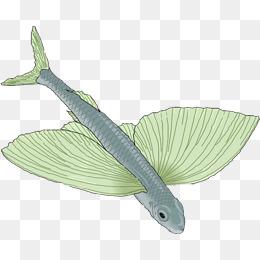 长翅膀的鱼